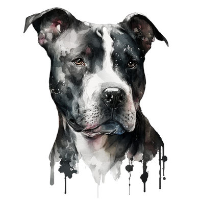 Save A Dog December